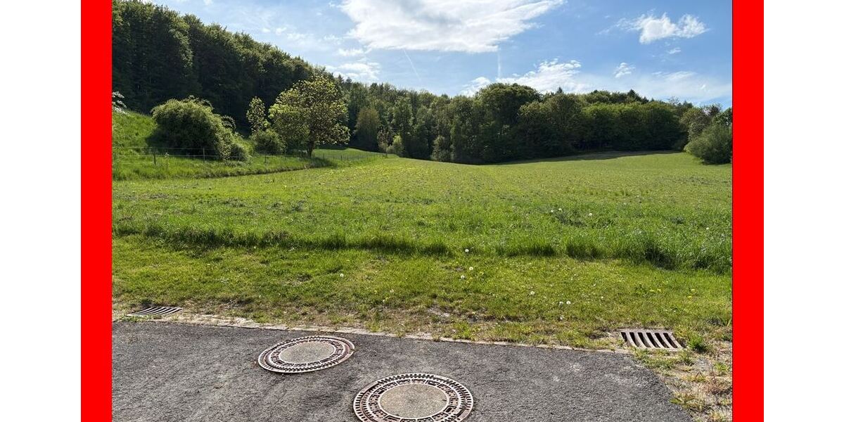 Baugebiet im Dornröschenschlaf - Grundstück Sibbesse Wrisbergholzen | Angebot:26769068