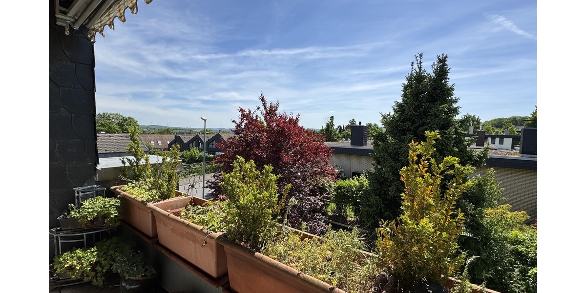 Ausblick